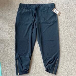 Heather Cobalt Albion Fit Jetsetters with Gold Zipper Accents